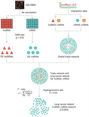 Frontiers | Integrated Analysis Of LncRNA-miRNA-mRNA CeRNA Network ...